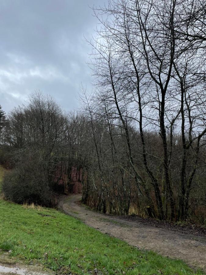Ferienhaus Buchali Harscheid Kültér fotó